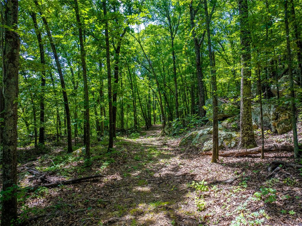 7506 E Highway 270 Highway Property Photo 22