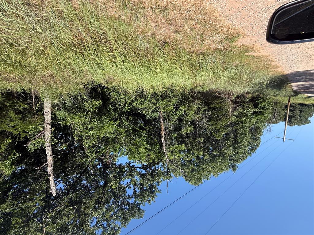 17001 Pepper Tree Road Property Photo 13