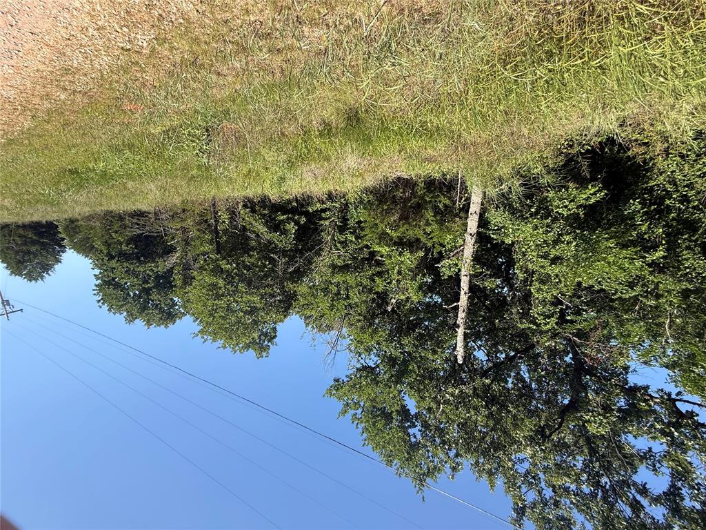 17001 Pepper Tree Road Property Photo 15