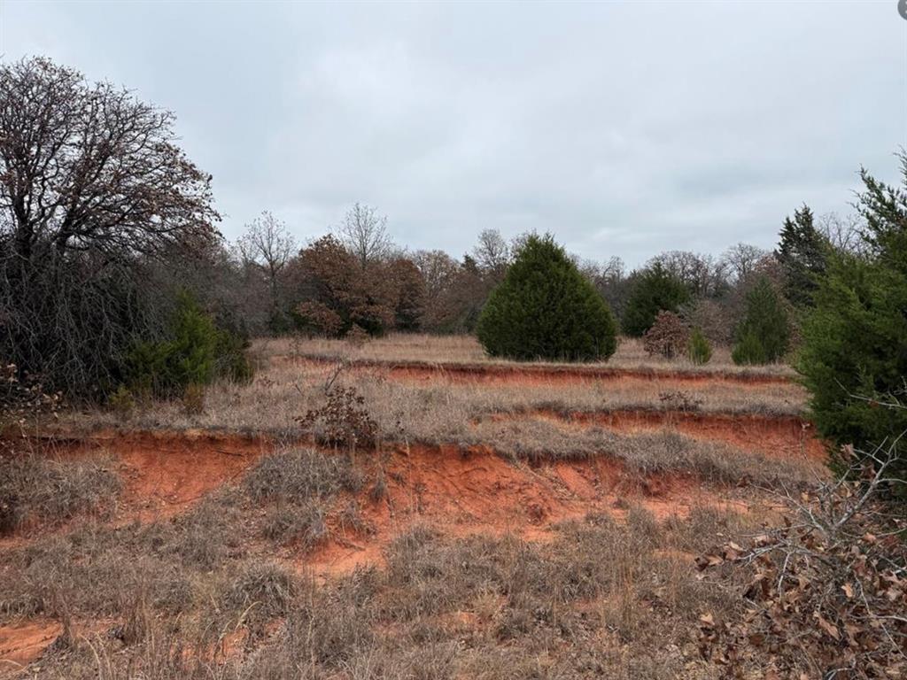 17001 Pepper Tree Road Property Photo 20