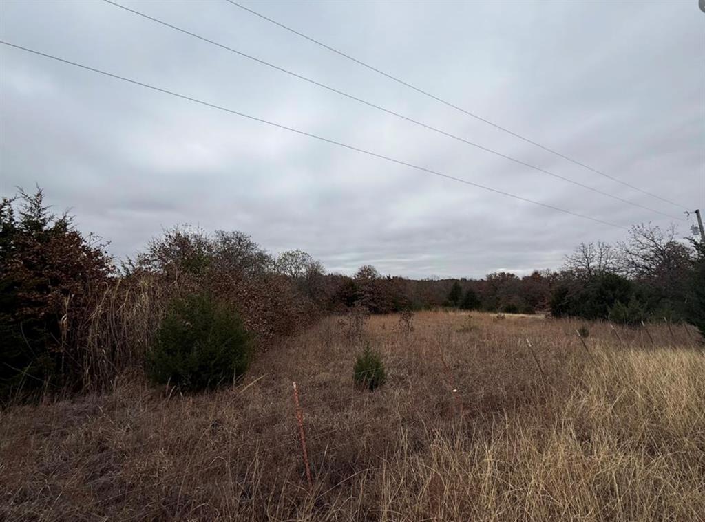 17001 Pepper Tree Road Property Photo 22