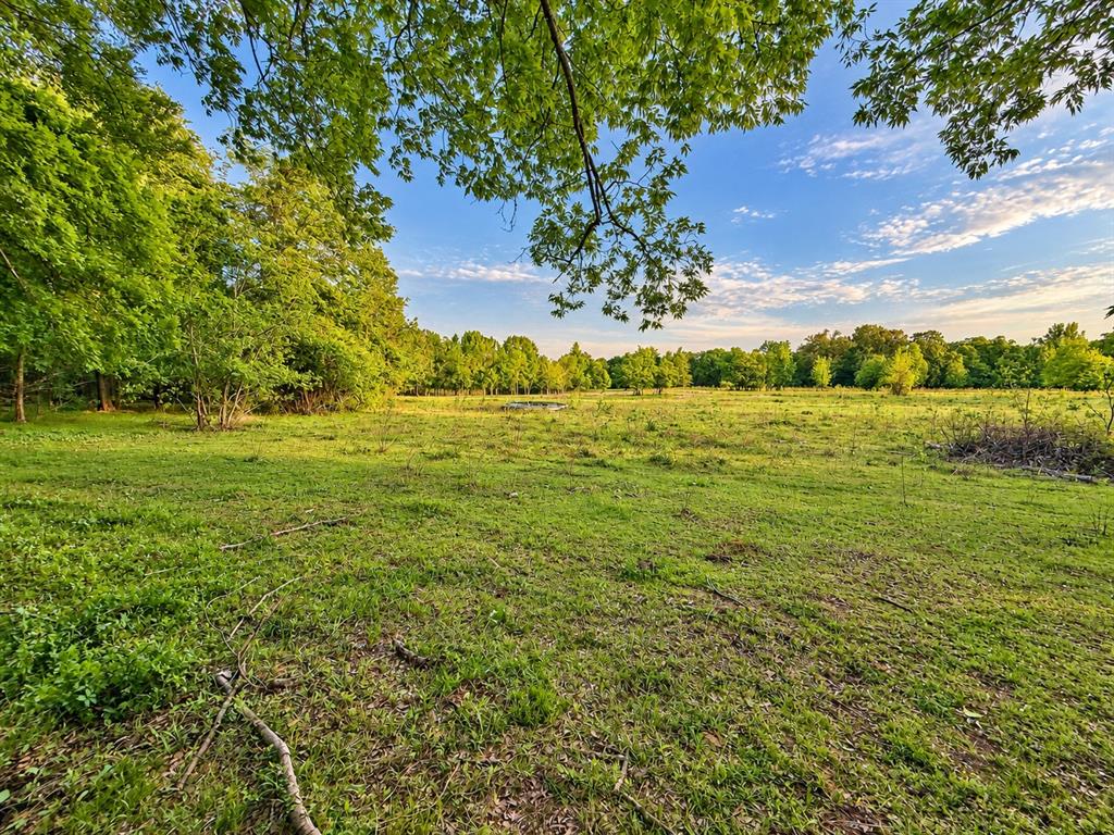 12 Womack Road Property Photo 17
