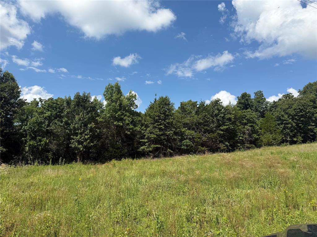 0000 Greentree Drive Property Photo 1