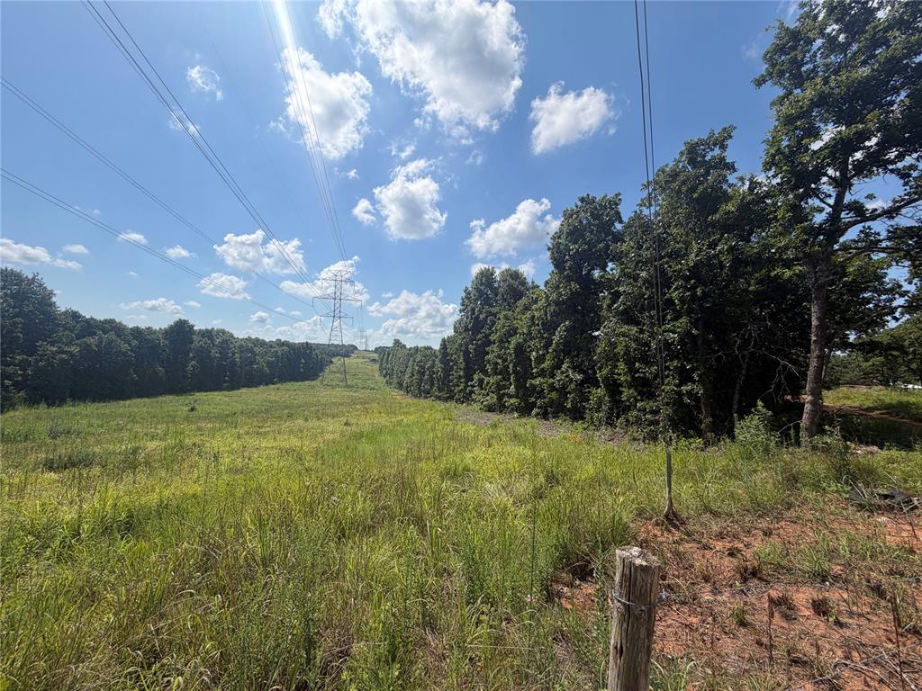 0000 Greentree Drive Property Photo 2