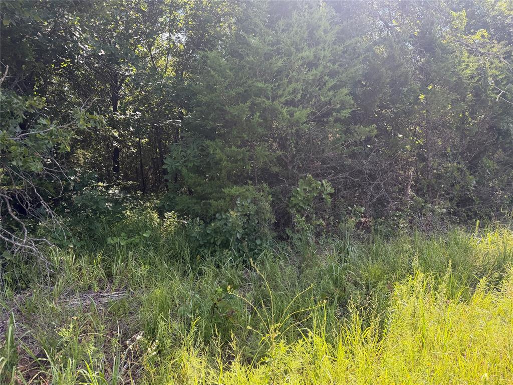 0000 Greentree Drive Property Photo 3