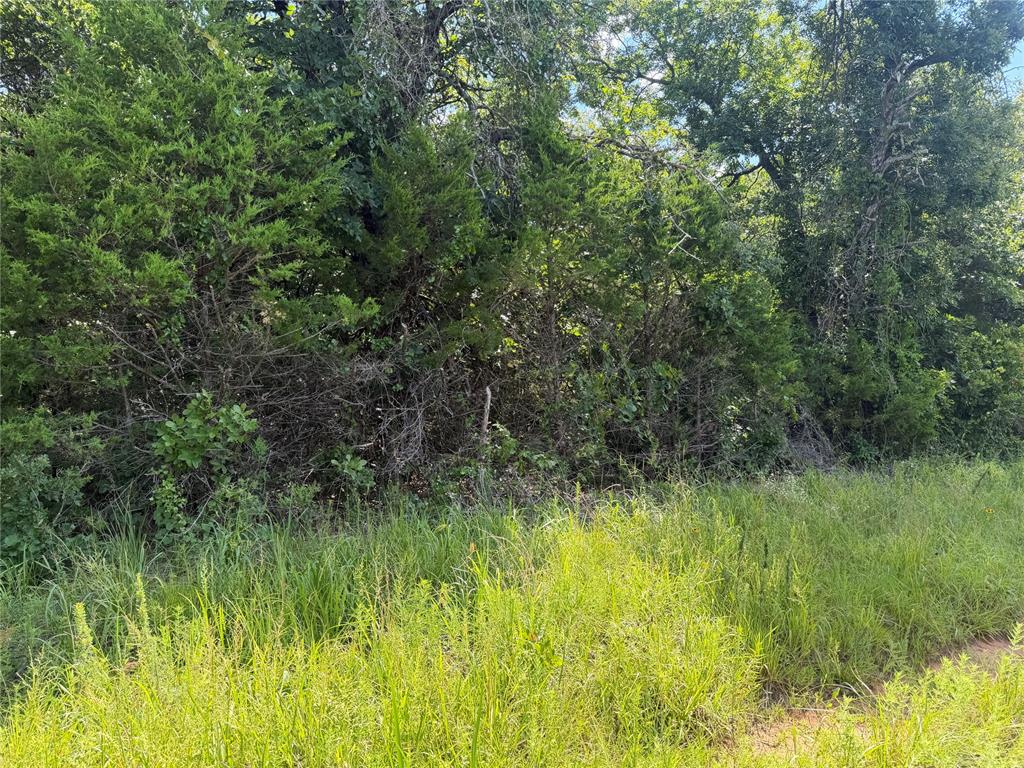 0000 Greentree Drive Property Photo 5