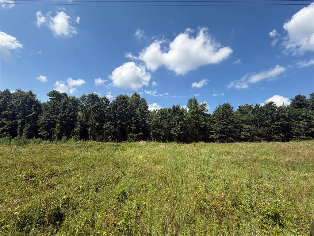 0000 Greentree Drive Property Photo 8