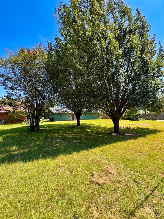 312 E Meadowview Lane Property Photo 13