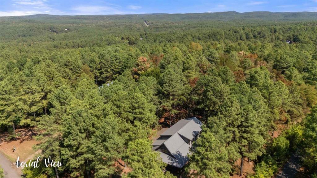 111 Red Berry Trail Property Photo 2