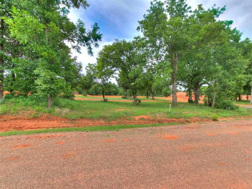 30609 Stadium View Drive Property Photo 8
