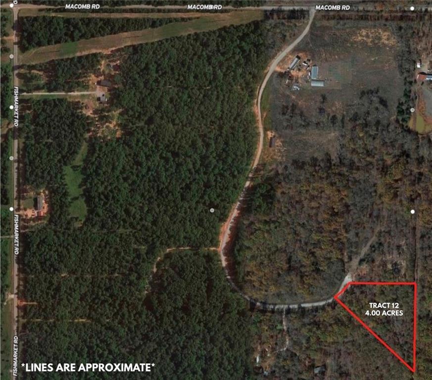 Ridge Creek Road Property Photo 6