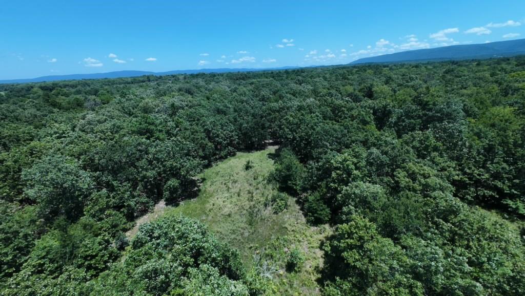 0 E 1630 Road Property Photo 5