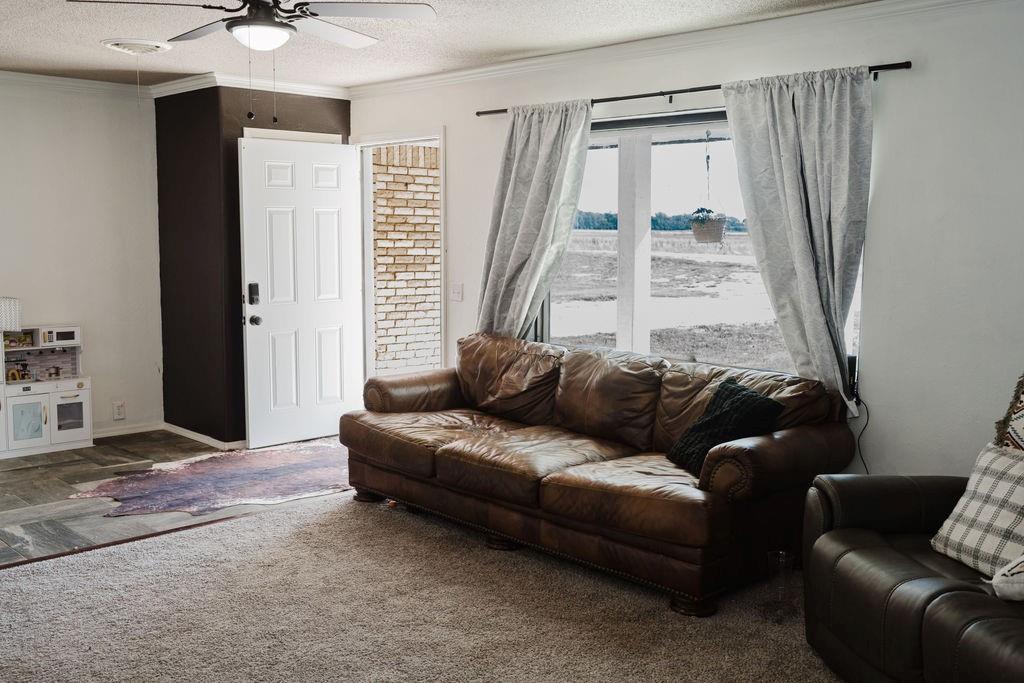 12497 N 1780 Road Property Photo 19