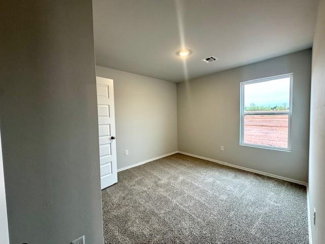 3509 Pete Street Property Photo 13