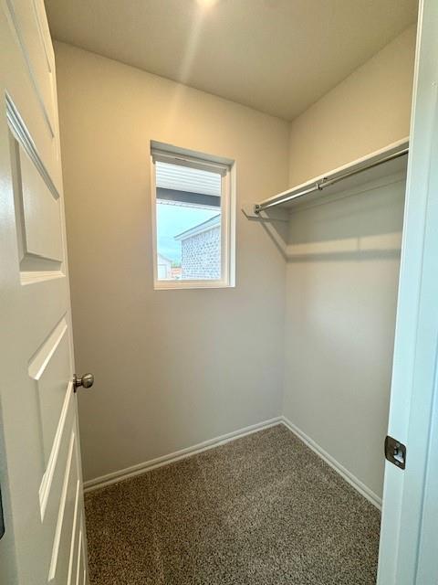 3509 Pete Street Property Photo 18