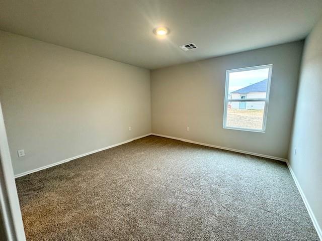 3509 Pete Street Property Photo 30