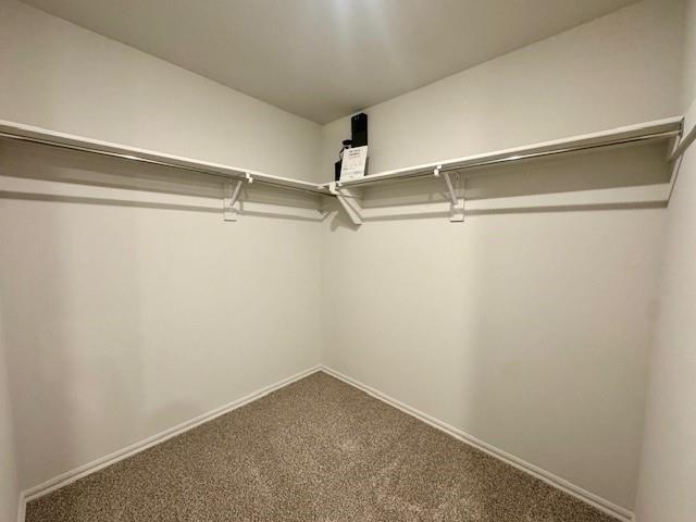3509 Pete Street Property Photo 37