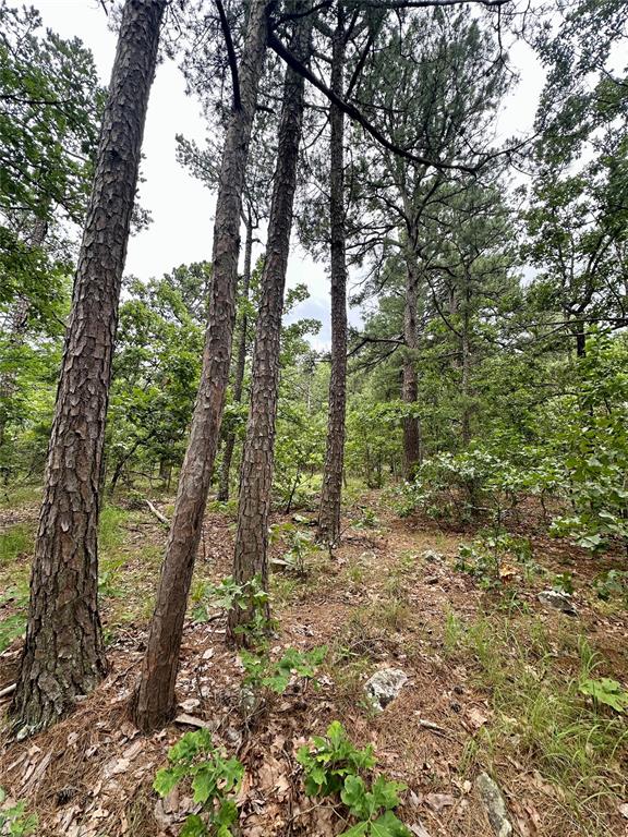 1239447 Property Photo 2