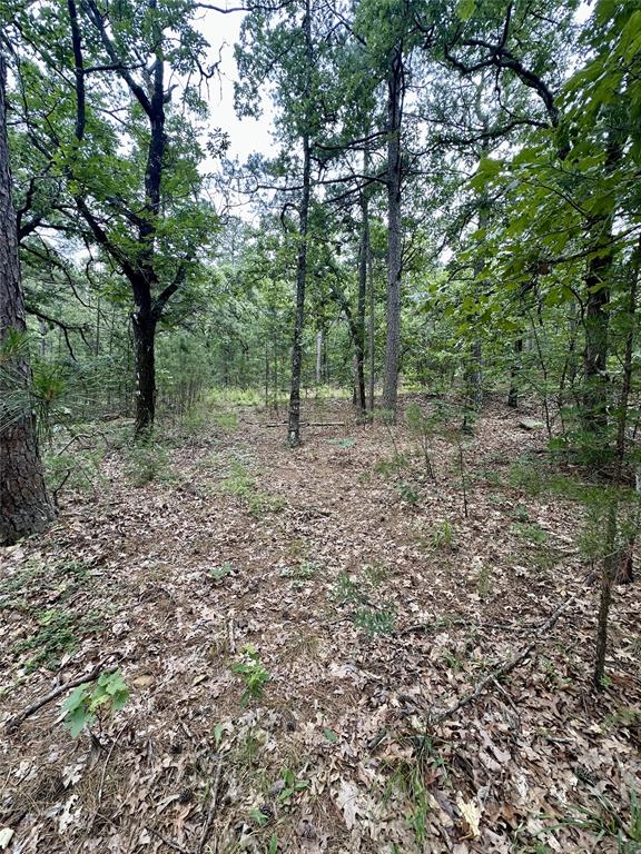1239447 Property Photo 5