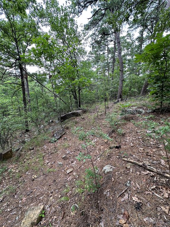1239447 Property Photo 6