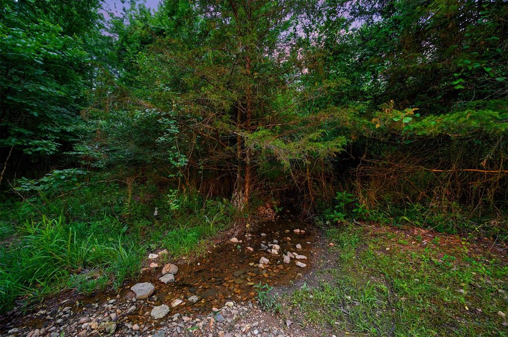 252 Apple Ridge Lane Property Photo 39
