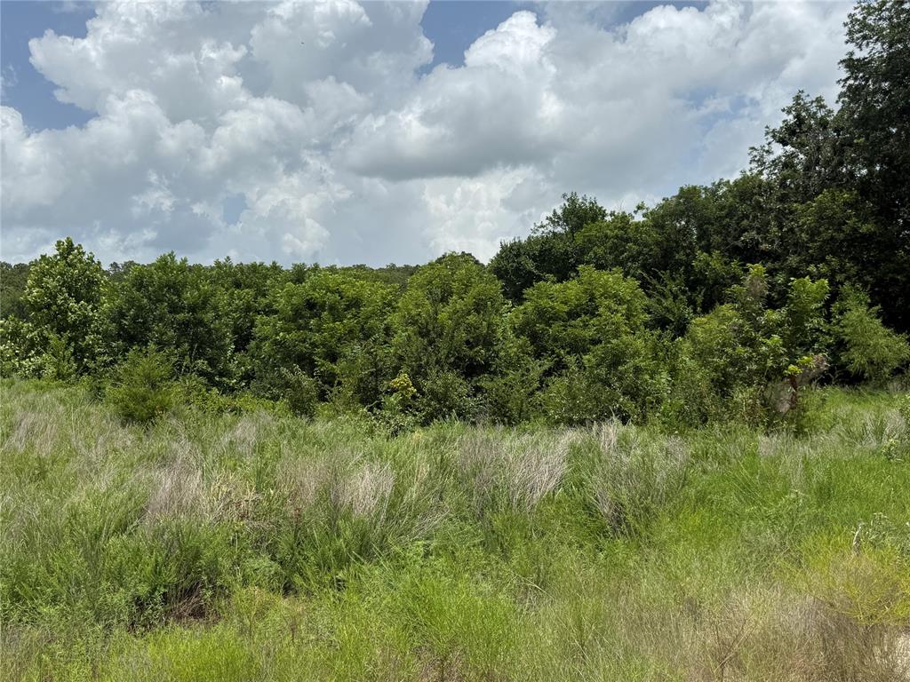 D 126.9 Road Road Property Photo 13