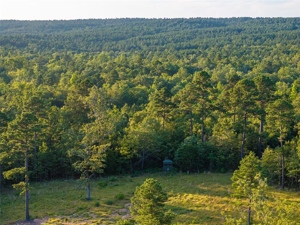 0000 Highway 2 Highway Property Photo 8