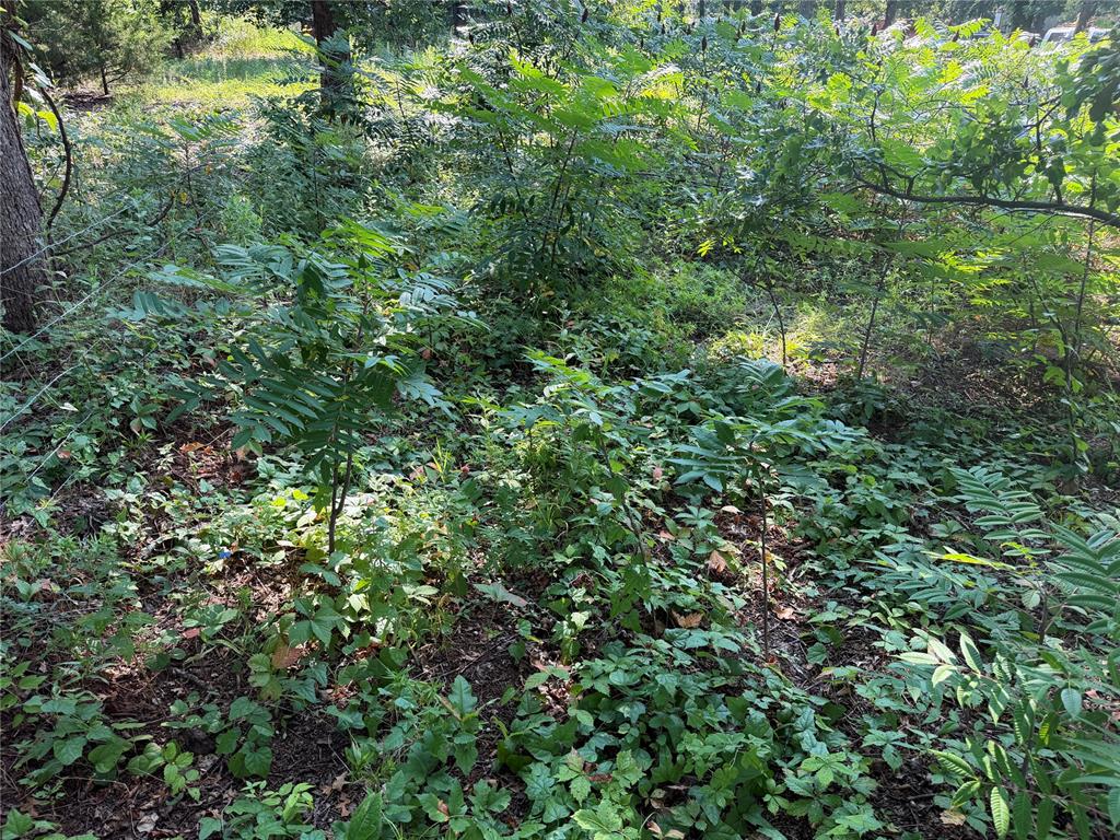009 S Kelly Road Property Photo 11