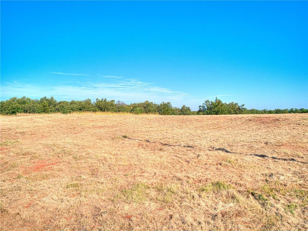 13745 Rockys Way Property Photo 9