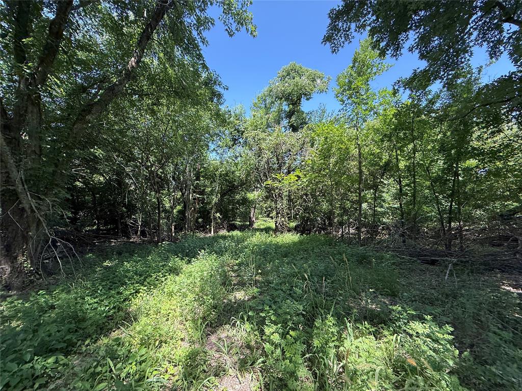 10322 S Mehan Road Property Photo 2