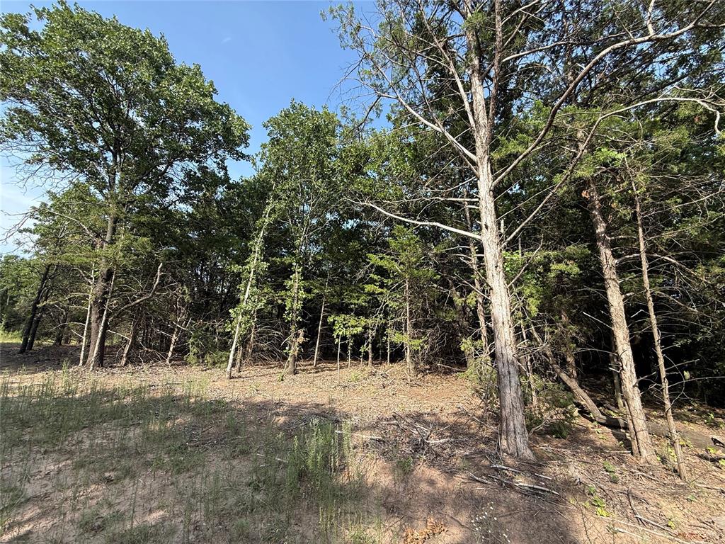 10322 S Mehan Road Property Photo 8