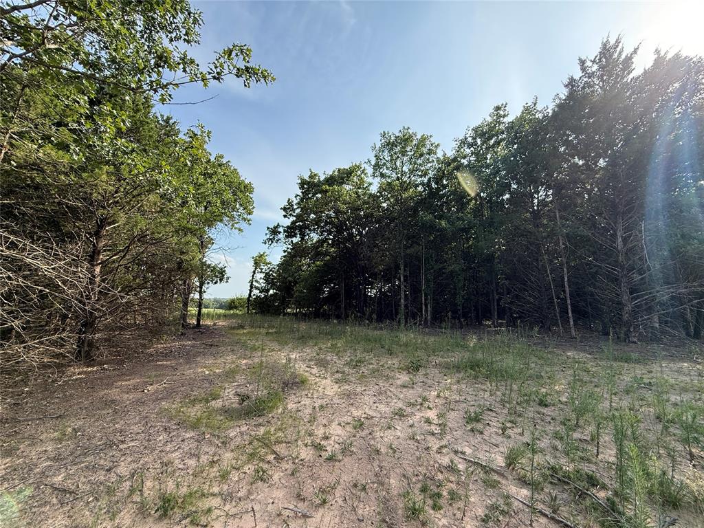 10322 S Mehan Road Property Photo 11