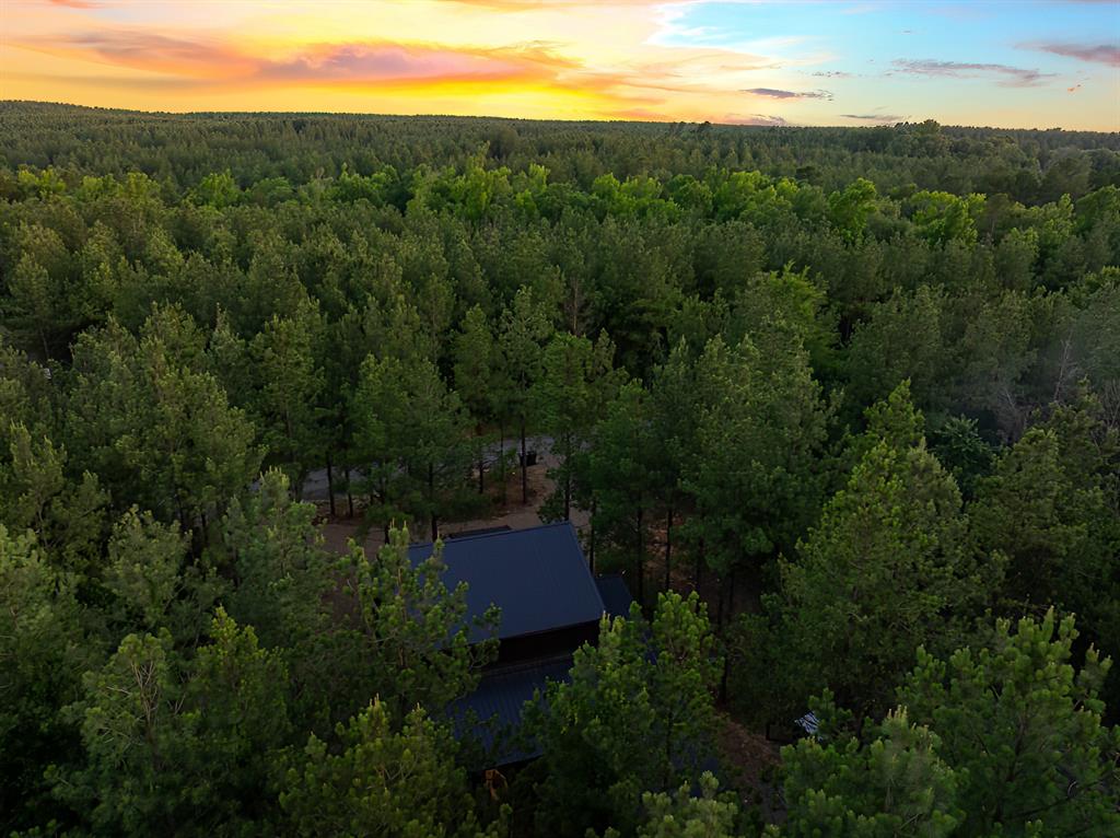 70 Shade Tree Trail Property Photo 3