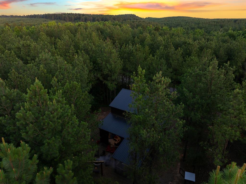 70 Shade Tree Trail Property Photo 49