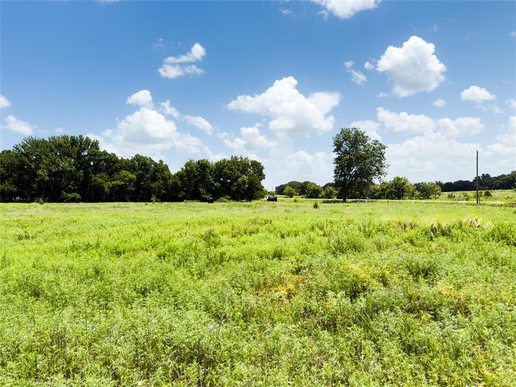 1240145 Property Photo 41