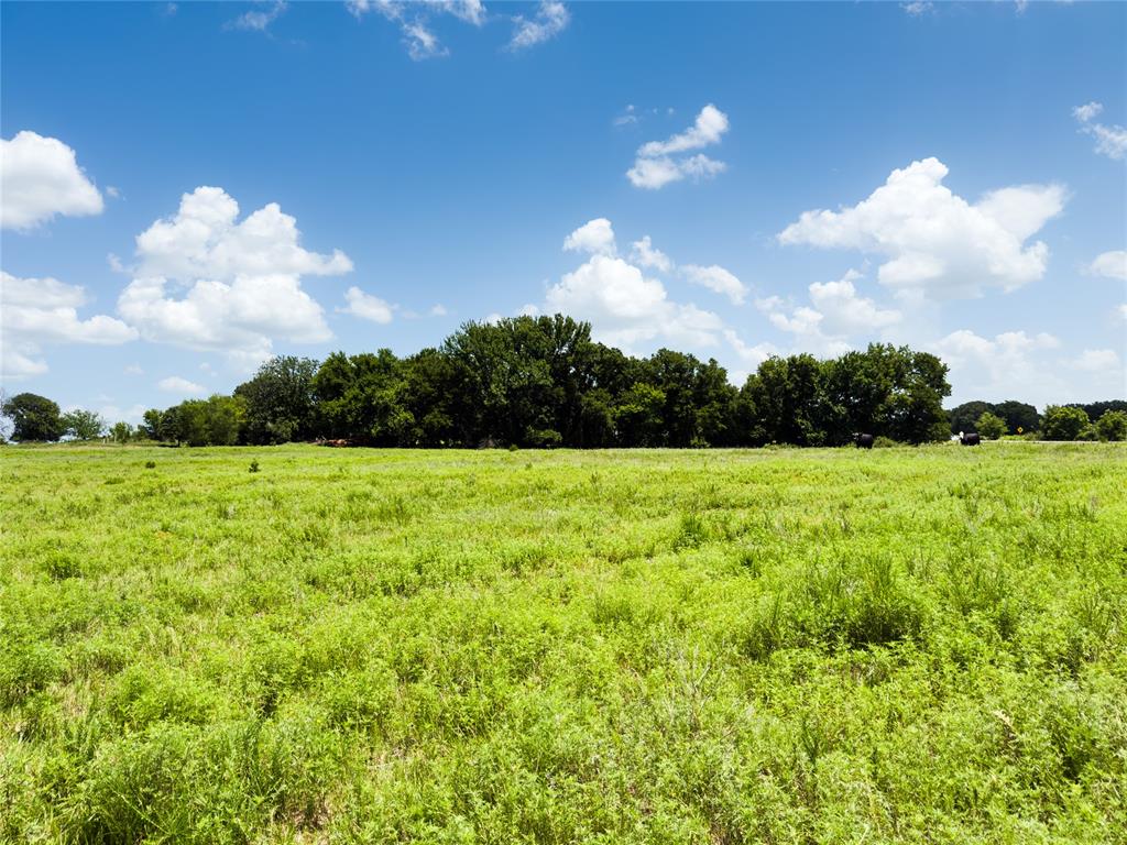 1240145 Property Photo 42