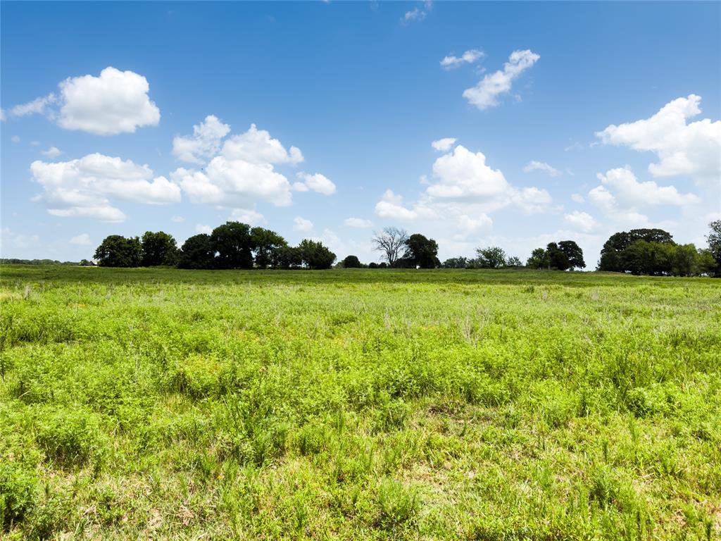 1240145 Property Photo 46