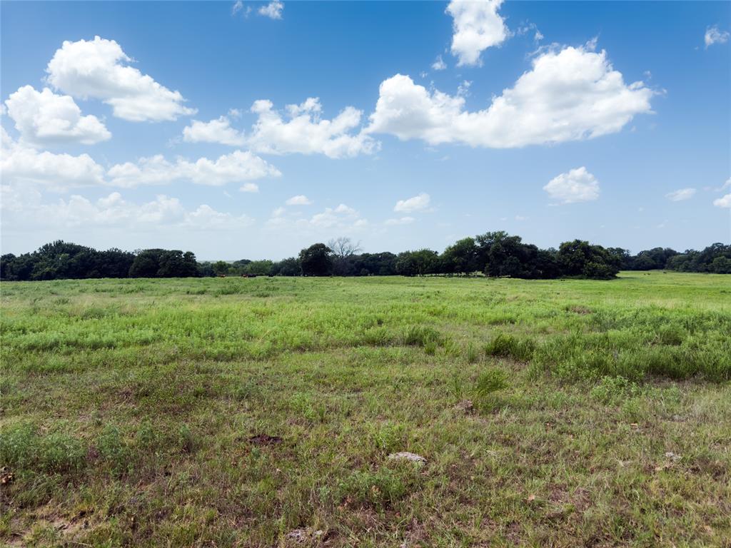 1240145 Property Photo 48