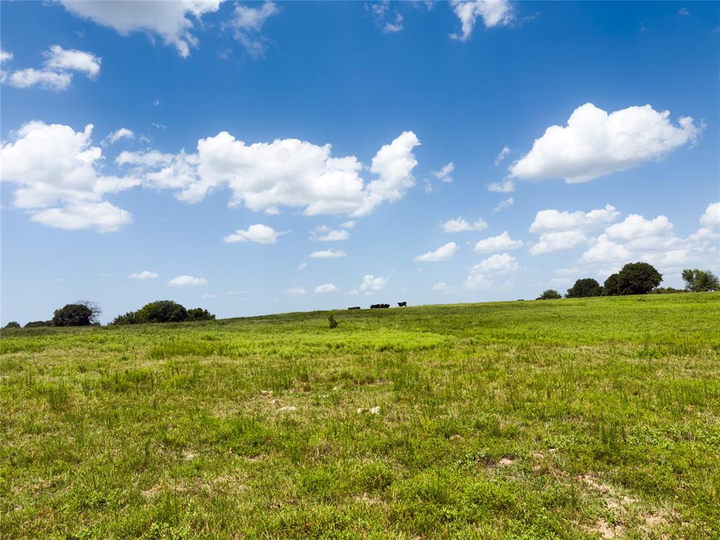 1240145 Property Photo 49