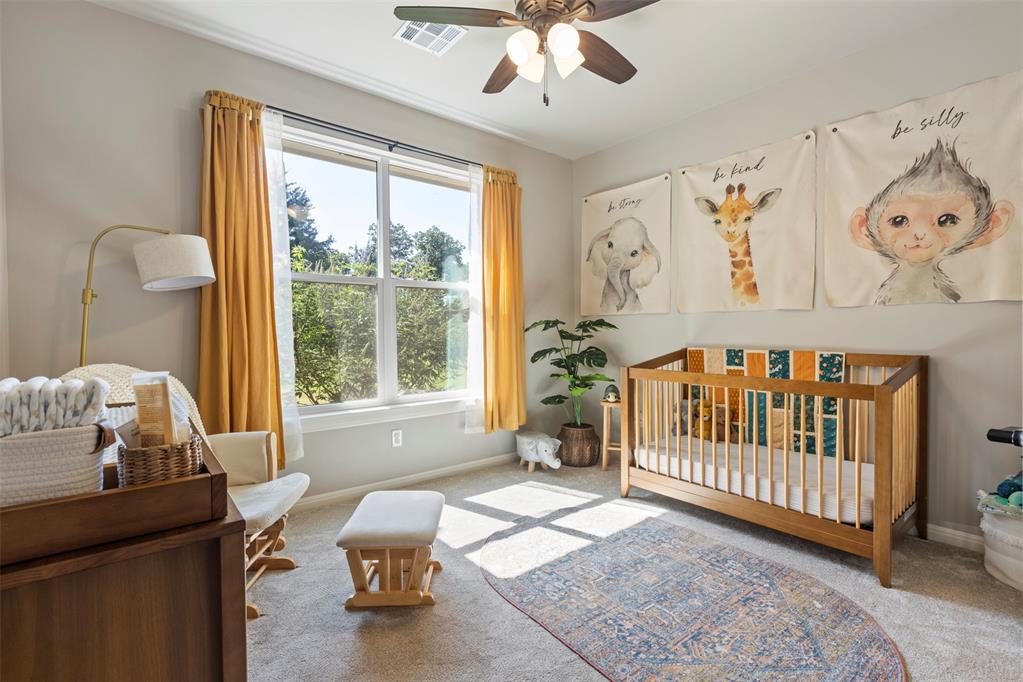 13132 Painted Sky Property Photo 33