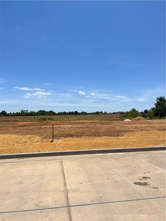 1523 Strawberry Fields Property Photo 3