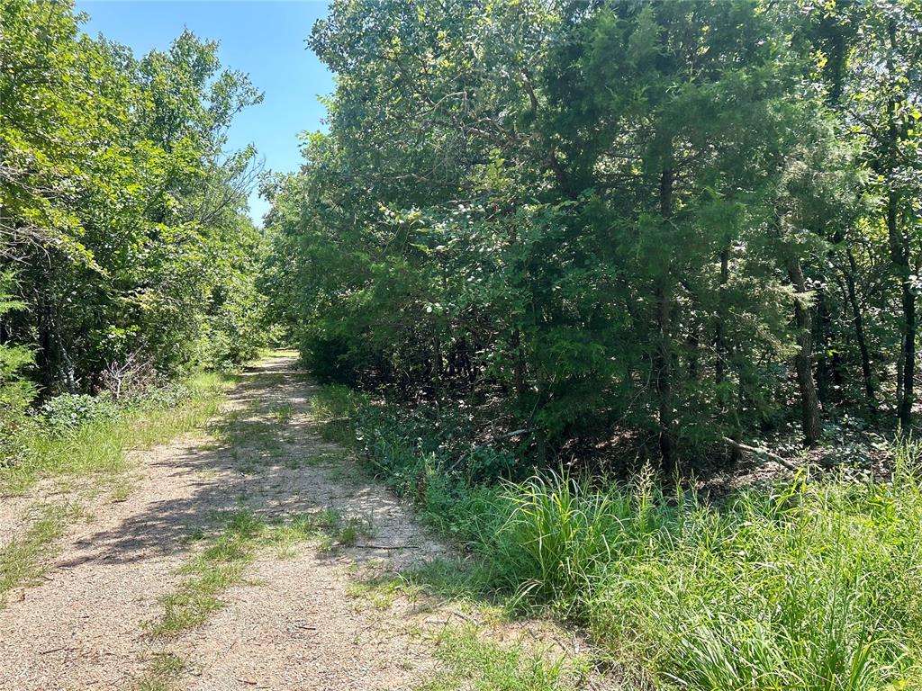 Twisted Oaks Rd Road Property Photo 1