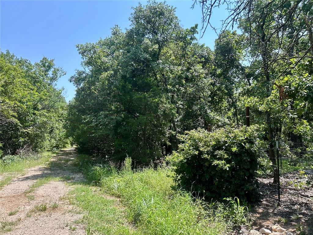 Twisted Oaks Rd Road Property Photo 2