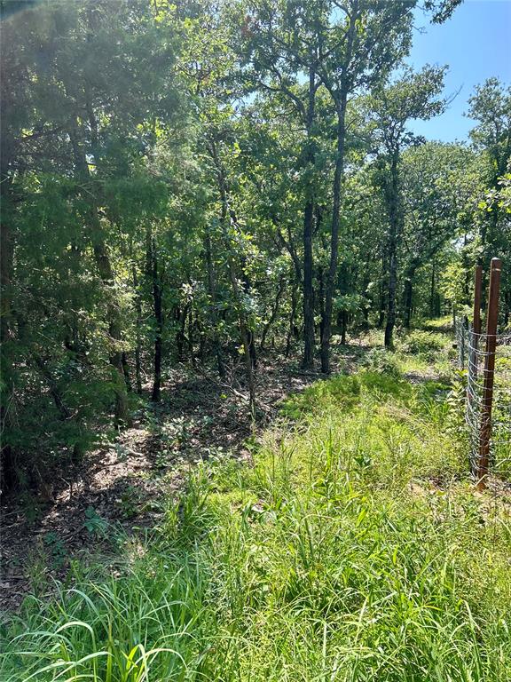 Twisted Oaks Rd Road Property Photo 3