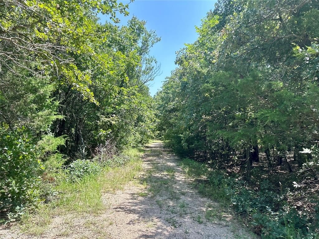 Twisted Oaks Rd Road Property Photo 4