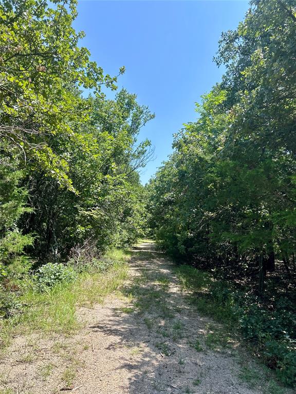 Twisted Oaks Rd Road Property Photo 5