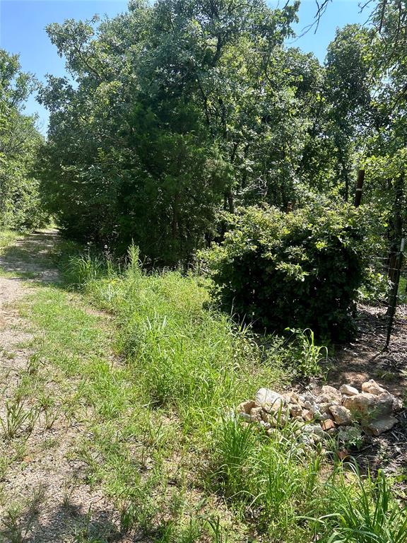 Twisted Oaks Rd Road Property Photo 6