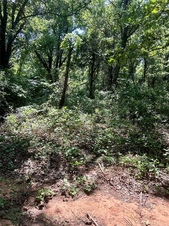 Twisted Oaks Rd Road Property Photo 8