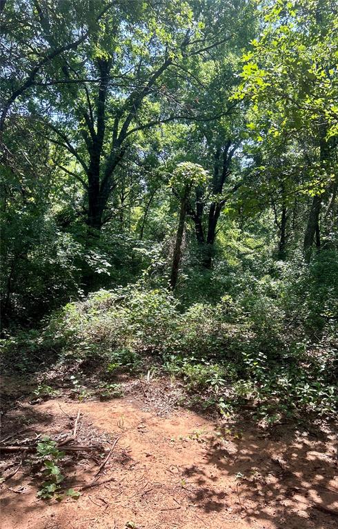 Twisted Oaks Rd Road Property Photo 9
