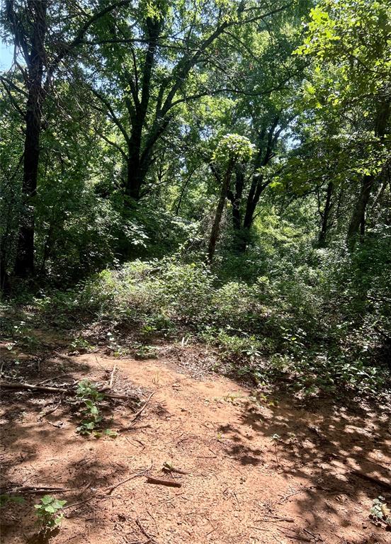 Twisted Oaks Rd Road Property Photo 10